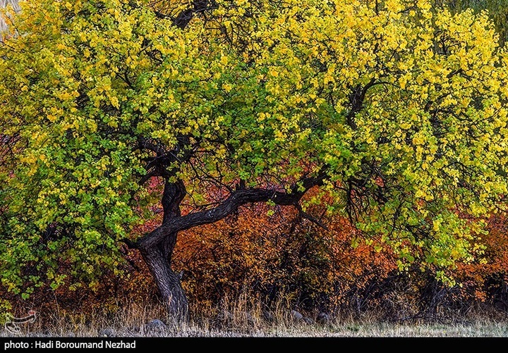 طبیعت پاییزی قره داغ - آذربایجان شرقی