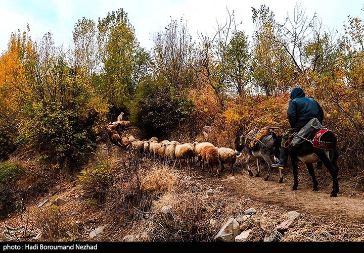 طبیعت پاییزی قره داغ - آذربایجان شرقی