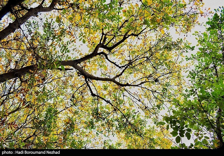 طبیعت پاییزی قره داغ - آذربایجان شرقی