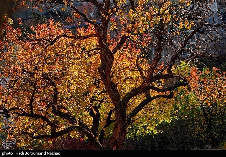 طبیعت پاییزی قره داغ - آذربایجان شرقی