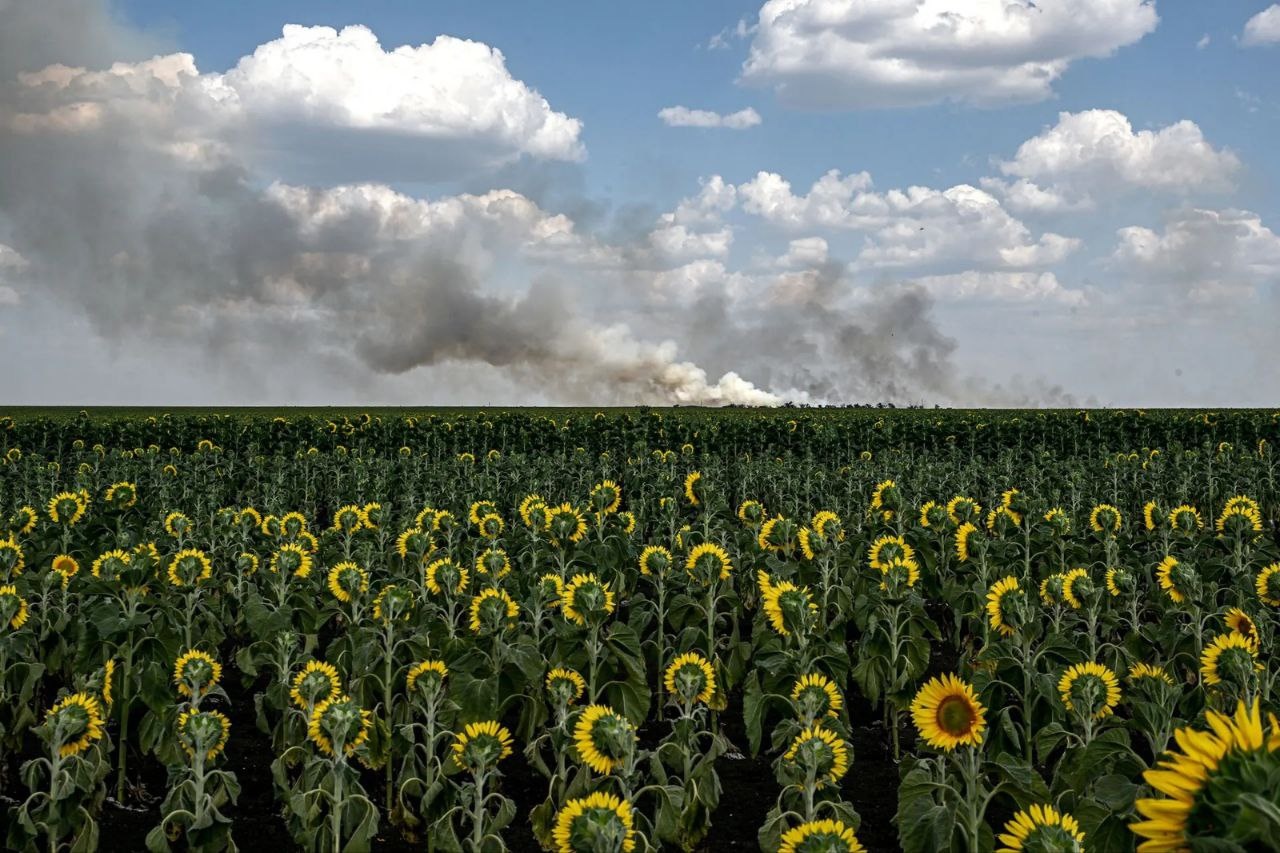 منتخبی از بهترین عکس‌های سال نشریه تایم