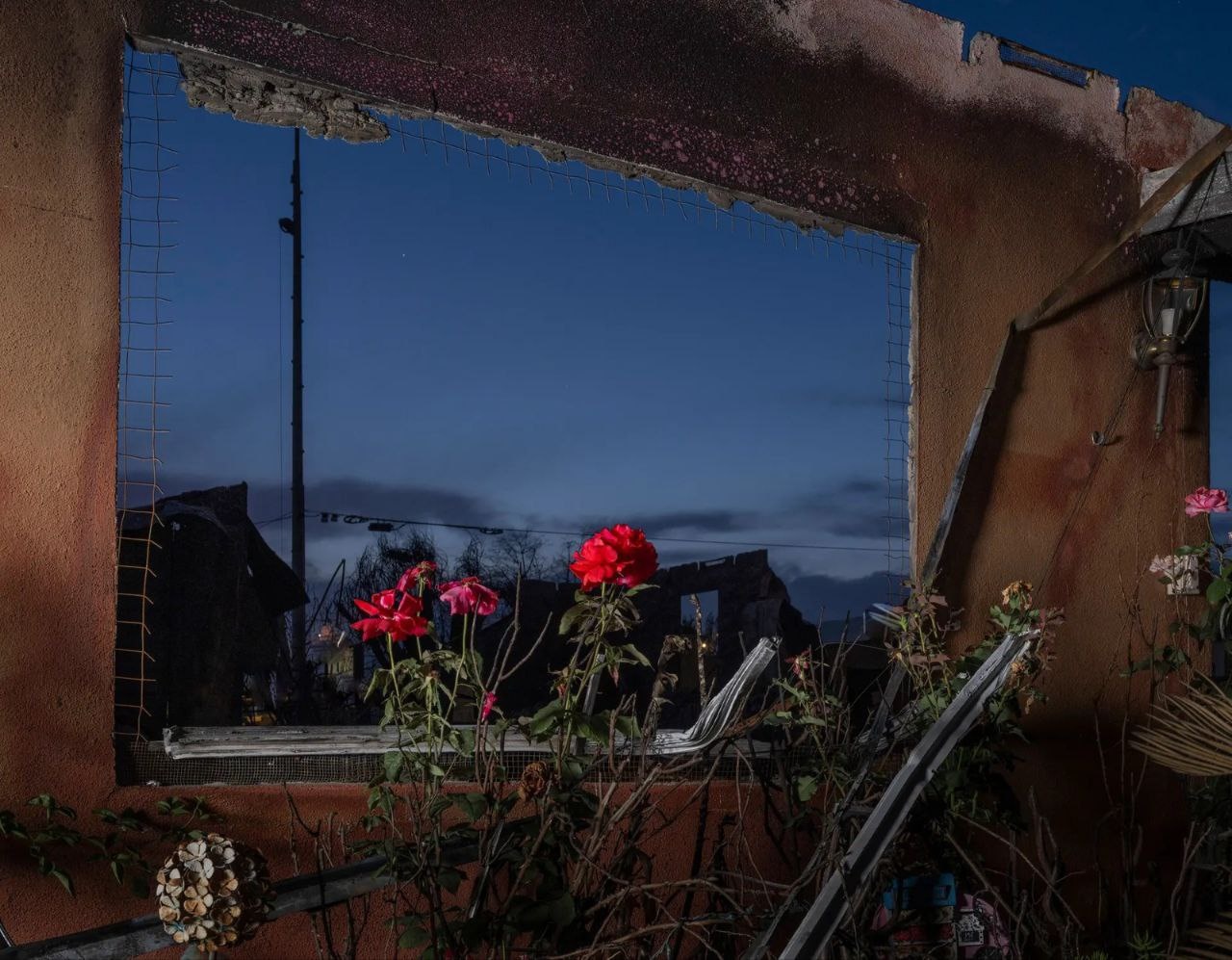 منتخبی از بهترین عکس‌های سال نشریه تایم