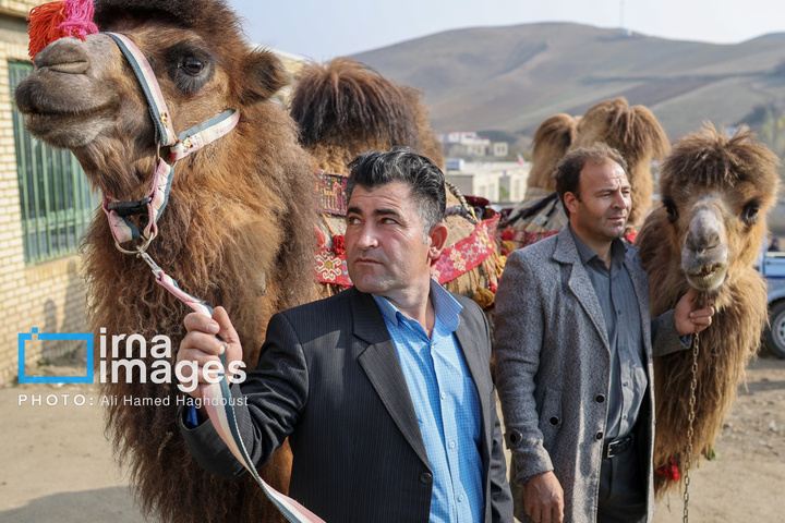 جشنواره وَرنی روستای نجف تراکمه