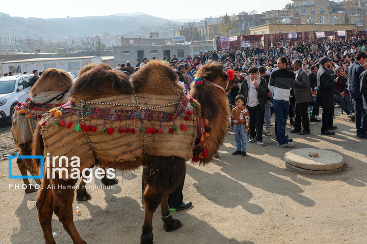 جشنواره وَرنی روستای نجف تراکمه