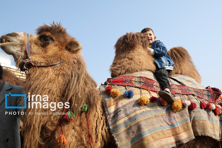 جشنواره وَرنی روستای نجف تراکمه