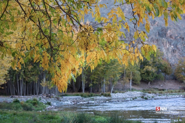 طبیعت پاییزی حاشیه زاینده رود در شهرستان سامان