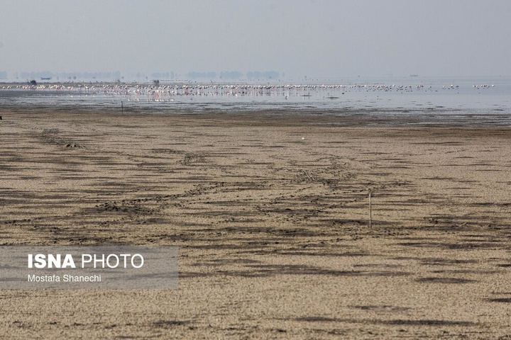 آخرین نفس‌های بزرگ‌ترین خلیج خزر