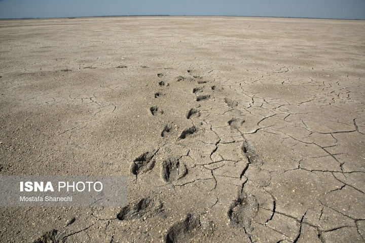 آخرین نفس‌های بزرگ‌ترین خلیج خزر