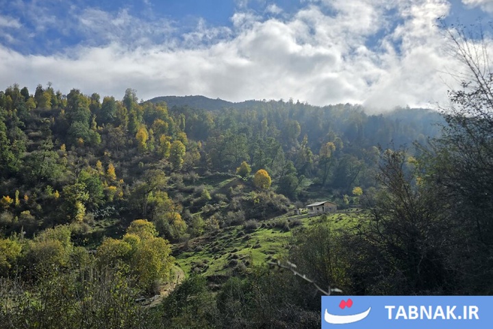 رنگ‌آمیزی پاییز در جنگل‌های گرگان