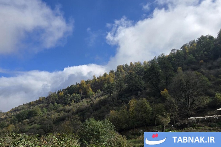 رنگ‌آمیزی پاییز در جنگل‌های گرگان