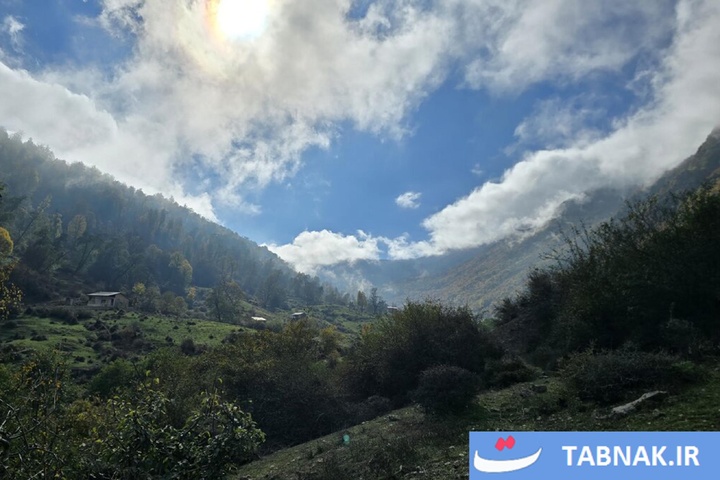 رنگ‌آمیزی پاییز در جنگل‌های گرگان