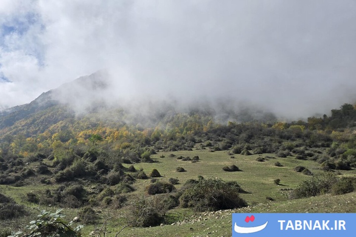 رنگ‌آمیزی پاییز در جنگل‌های گرگان