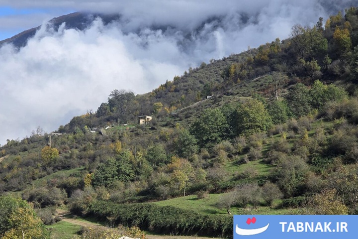 رنگ‌آمیزی پاییز در جنگل‌های گرگان