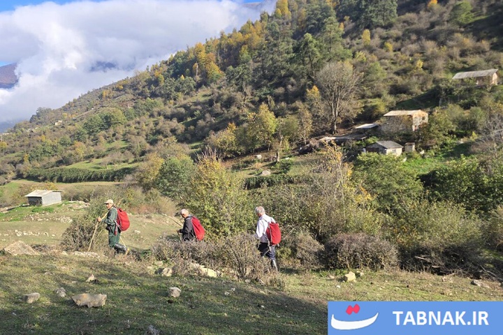 رنگ‌آمیزی پاییز در جنگل‌های گرگان