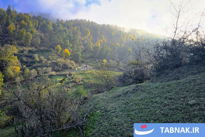 رنگ‌آمیزی پاییز در جنگل‌های گرگان