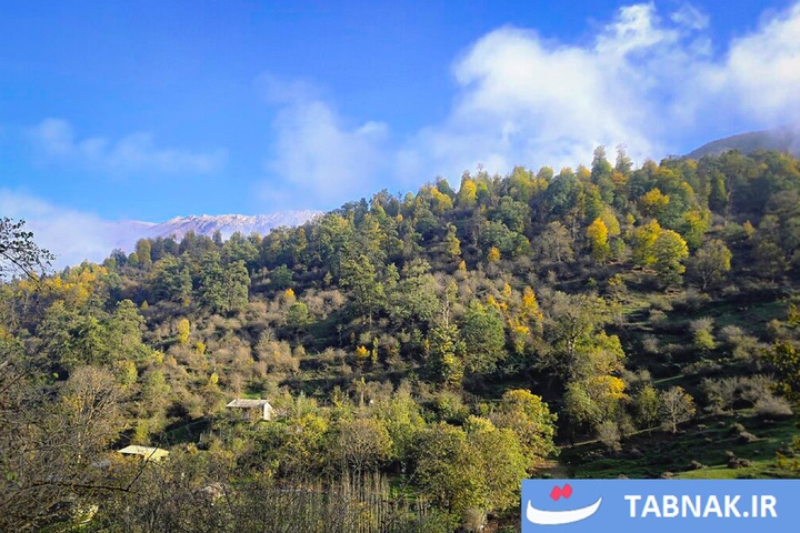 رنگ‌آمیزی پاییز در جنگل‌های گرگان