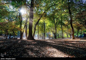 طبیعت پاییزی چشمه لال گلستان