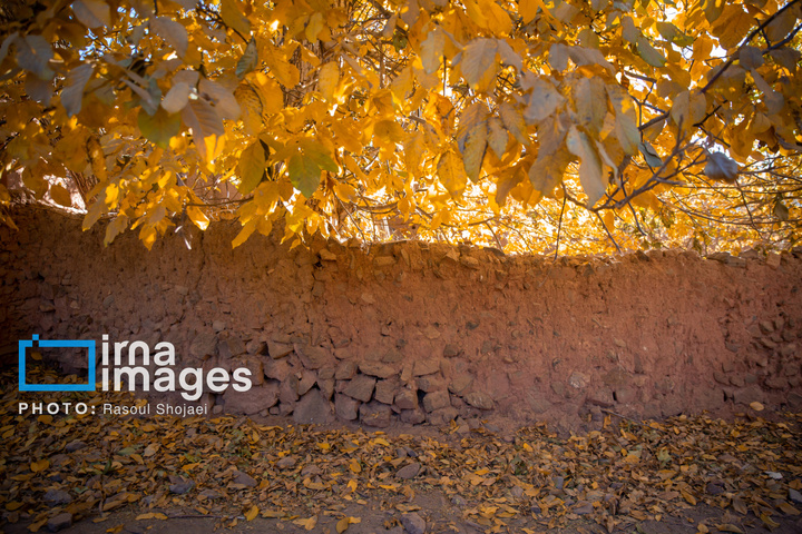 پاییز بی‌عابر ابیانه