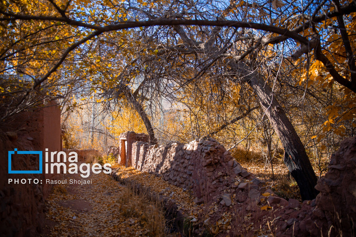 پاییز بی‌عابر ابیانه