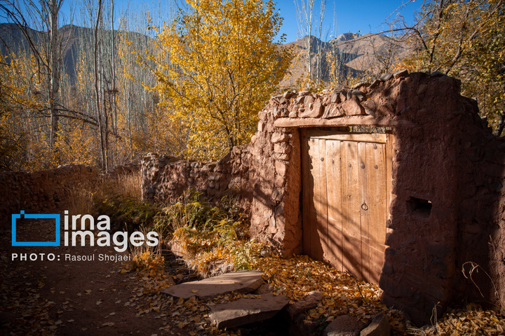 پاییز بی‌عابر ابیانه