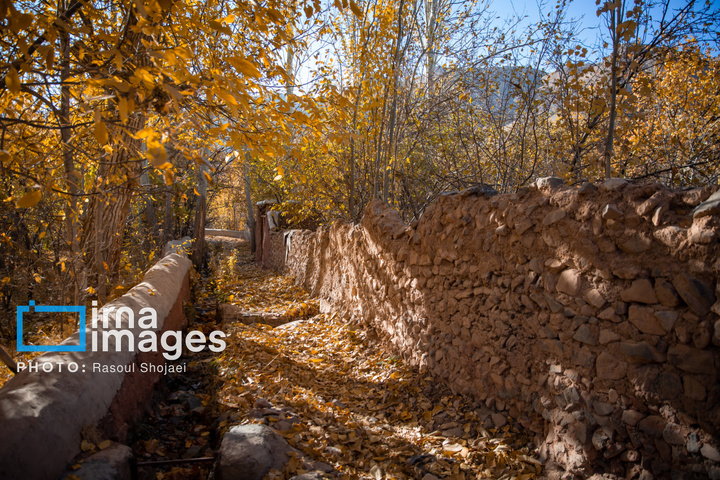 پاییز بی‌عابر ابیانه