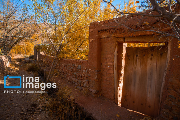 پاییز بی‌عابر ابیانه