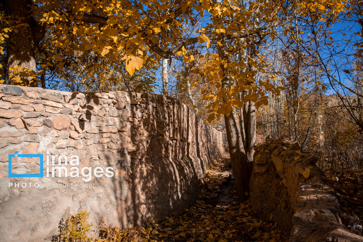 پاییز بی‌عابر ابیانه