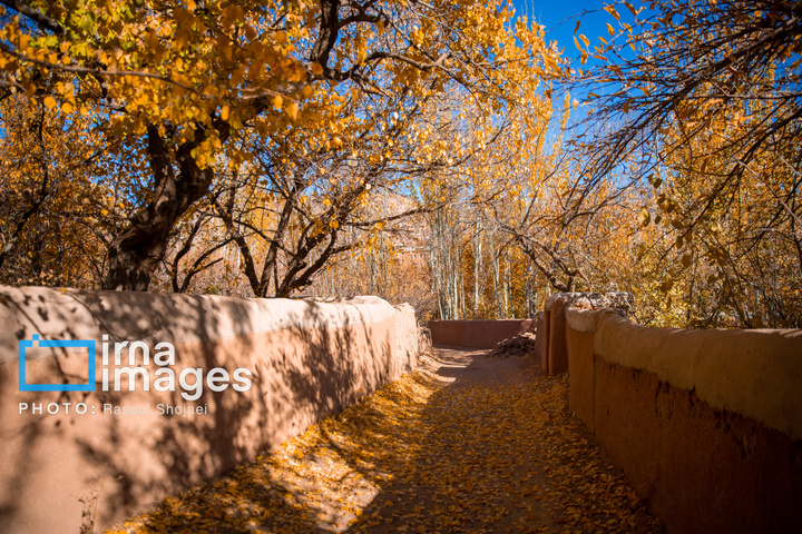 پاییز بی‌عابر ابیانه