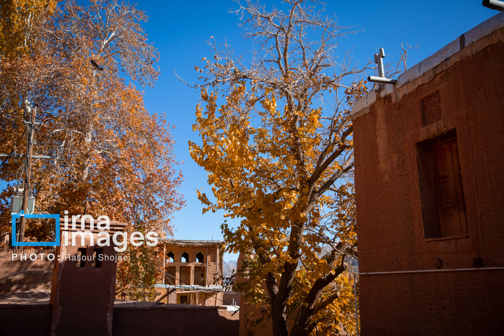 پاییز بی‌عابر ابیانه