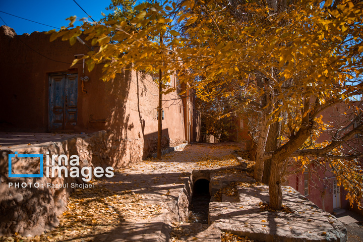 پاییز بی‌عابر ابیانه