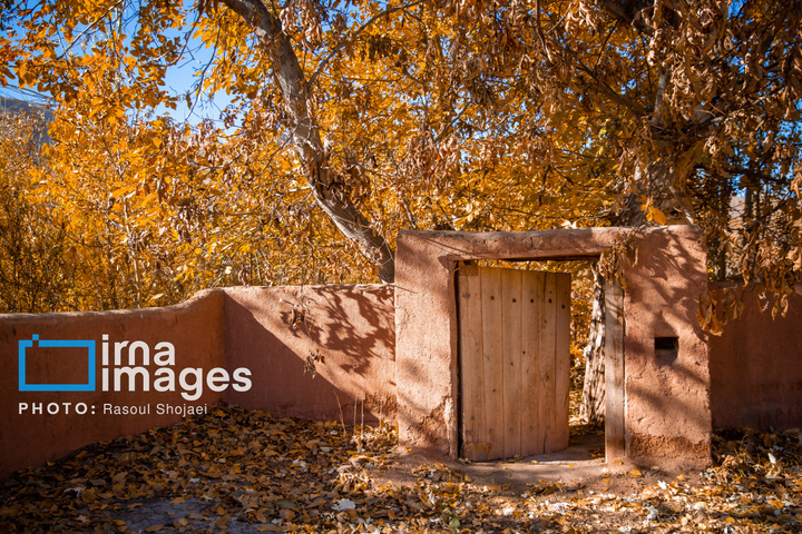 پاییز بی‌عابر ابیانه