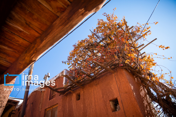 پاییز بی‌عابر ابیانه