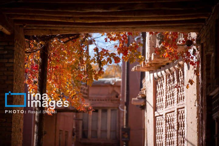 پاییز بی‌عابر ابیانه