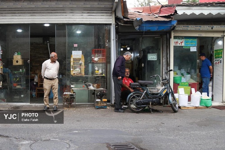 پیر سرای رشت