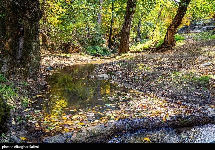 طبیعت پاییزی چشمه لال گلستان