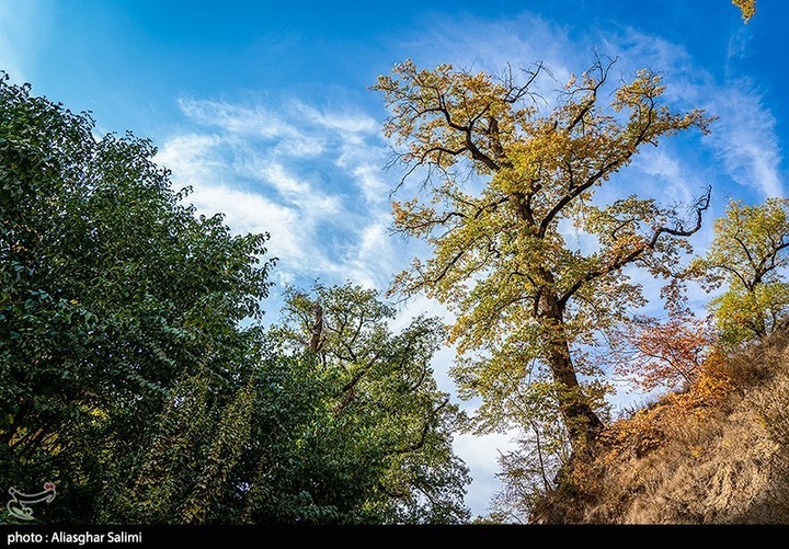 طبیعت پاییزی چشمه لال گلستان