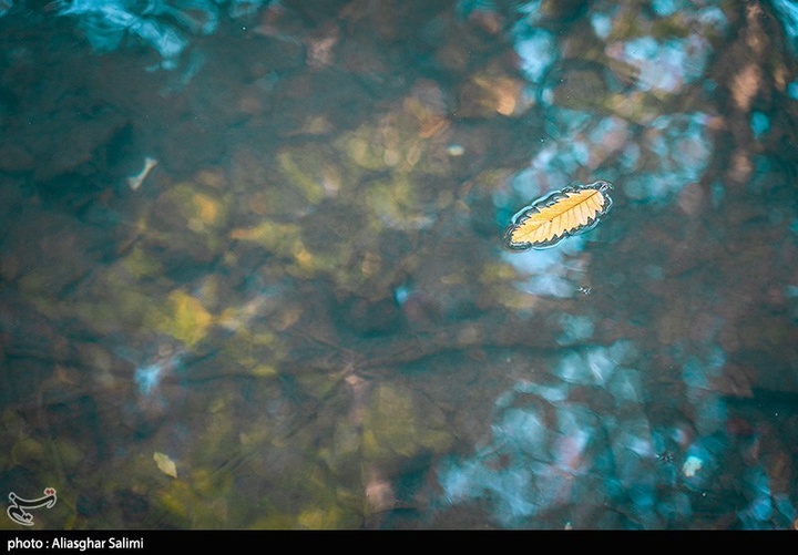 طبیعت پاییزی چشمه لال گلستان