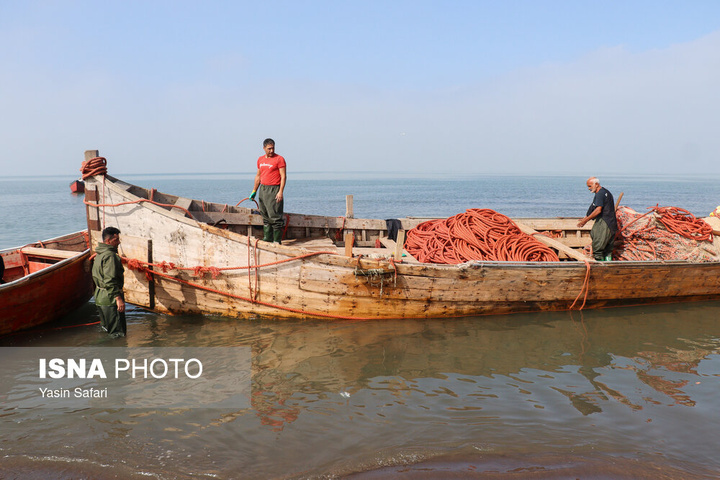 صید پره؛ سنت دیرین صیادان خزر