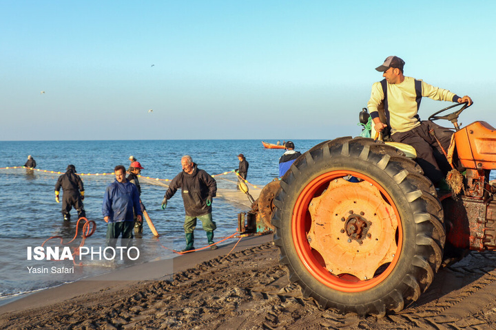 صید پره؛ سنت دیرین صیادان خزر