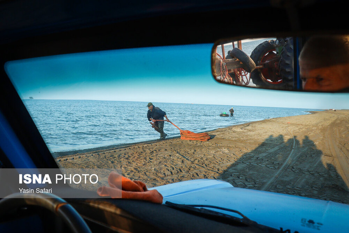 صید پره؛ سنت دیرین صیادان خزر