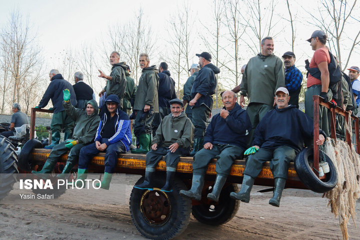 صید پره؛ سنت دیرین صیادان خزر