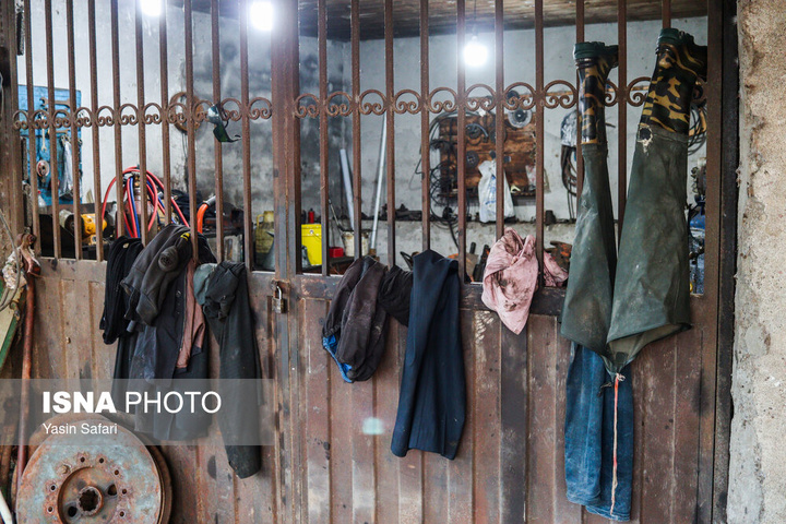 صید پره؛ سنت دیرین صیادان خزر