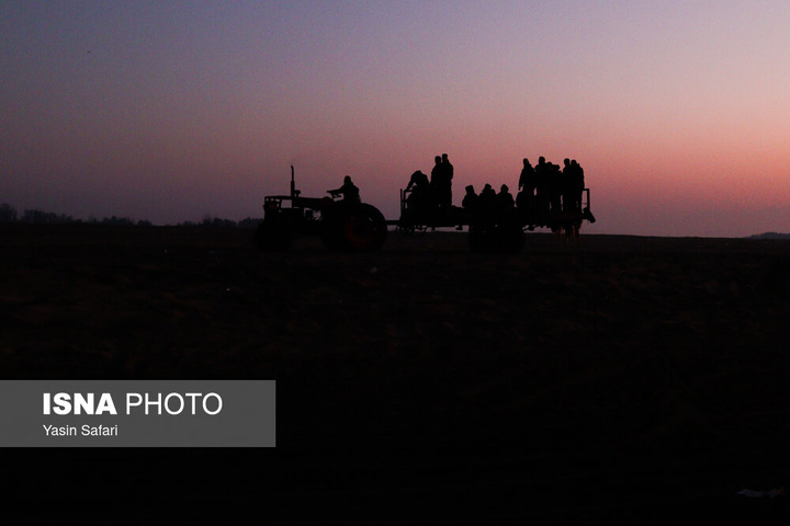 صید پره؛ سنت دیرین صیادان خزر