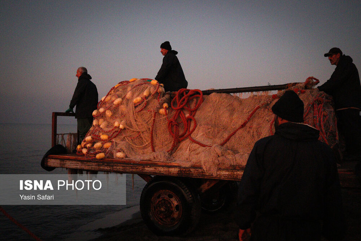 صید پره؛ سنت دیرین صیادان خزر