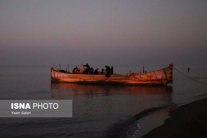 صید پره؛ سنت دیرین صیادان خزر