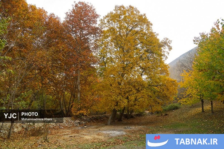 طبیعت پاییزی طارم در استان زنجان