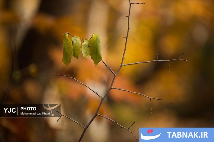 طبیعت پاییزی طارم در استان زنجان