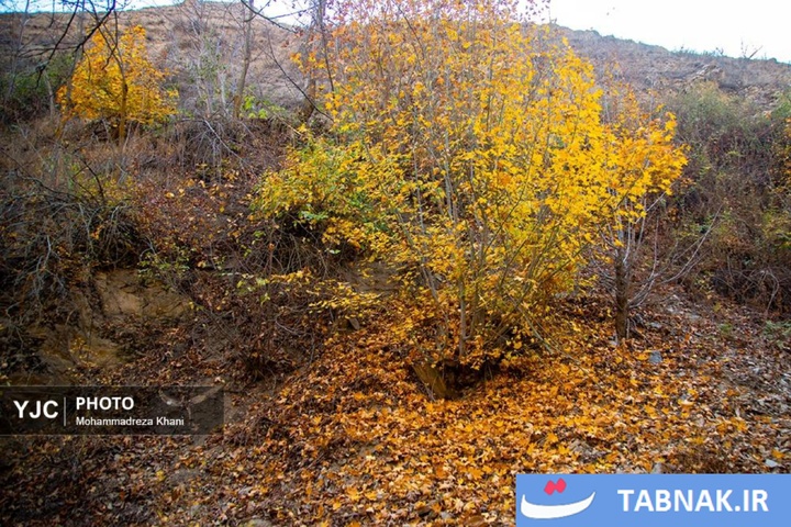 طبیعت پاییزی طارم در استان زنجان
