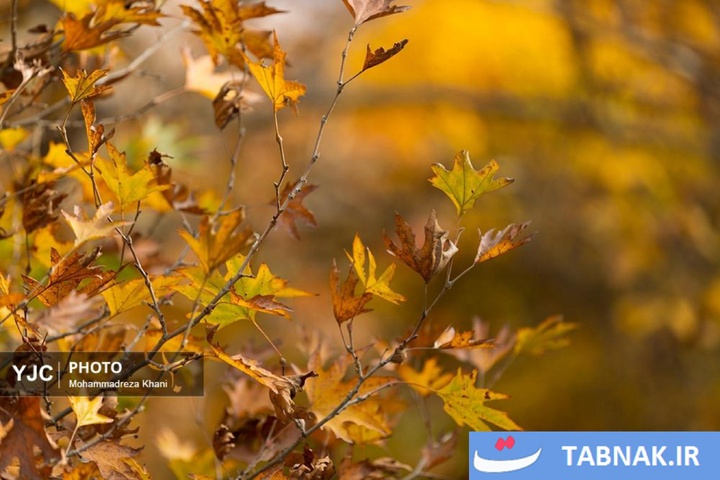 طبیعت پاییزی طارم در استان زنجان