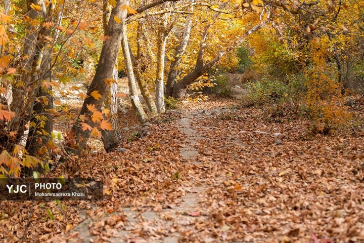 طبیعت پاییزی طارم در استان زنجان